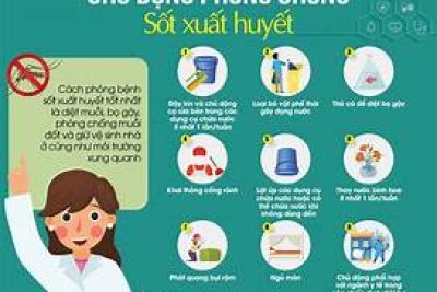Phòng chống bệnh sốt xuất huyết